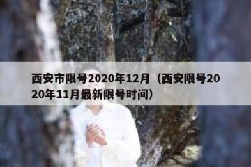西安市限号2020年12月（西安限号2020年11月最新限号时间）