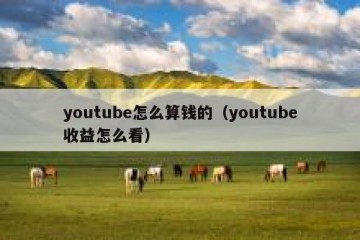 youtube怎么算钱的（youtube收益怎么看）