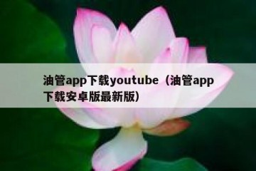 油管app下载youtube（油管app下载安卓版最新版）