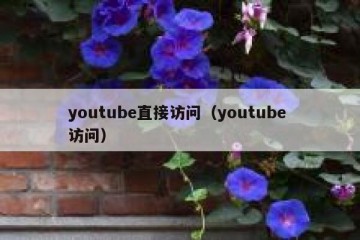 youtube直接访问（youtube 访问）