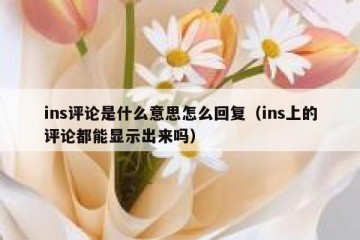 ins评论是什么意思怎么回复（ins上的评论都能显示出来吗）