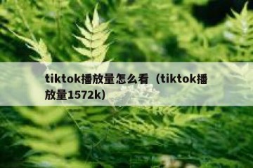 tiktok播放量怎么看（tiktok播放量1572k）