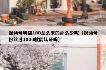 视频号粉丝100怎么来的那么少呢（视频号粉丝过1000就能认证吗）
