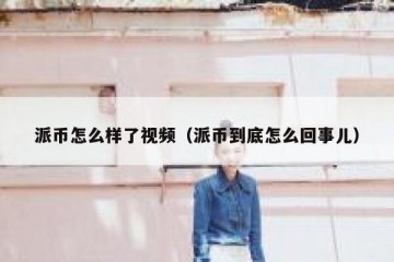 派币怎么样了视频（派币到底怎么回事儿）