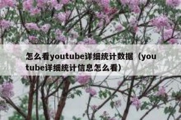 怎么看youtube详细统计数据（youtube详细统计信息怎么看）
