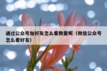 通过公众号加好友怎么看数量呢（微信公众号怎么看好友）