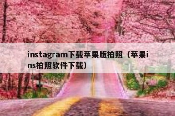 instagram下载苹果版拍照（苹果ins拍照软件下载）