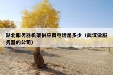 湖北服务器机架供应商电话是多少（武汉做服务器的公司）