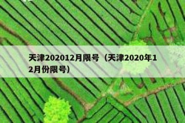天津202012月限号（天津2020年12月份限号）