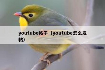 youtube帖子（youtube怎么发帖）