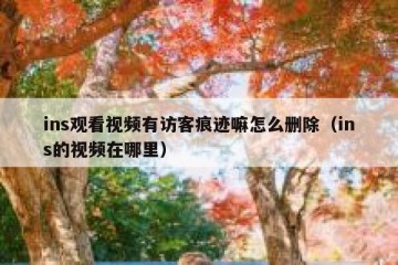 ins观看视频有访客痕迹嘛怎么删除（ins的视频在哪里）