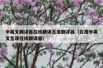 中英文翻译器在线翻译百度翻译器（百度中英文互译在线翻译器）