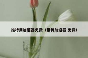 推特用加速器免费（推特加速器 免费）