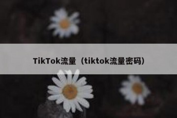 TikTok流量（tiktok流量密码）