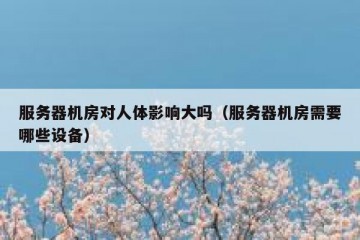服务器机房对人体影响大吗（服务器机房需要哪些设备）