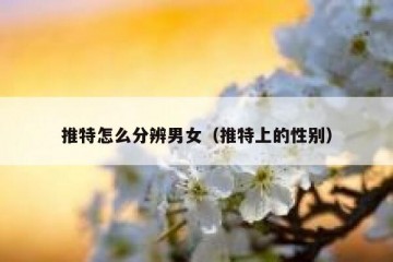 推特怎么分辨男女（推特上的性别）