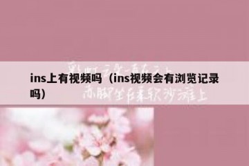 ins上有视频吗（ins视频会有浏览记录吗）