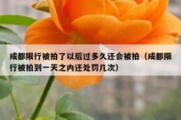 成都限行被拍了以后过多久还会被拍（成都限行被拍到一天之内还处罚几次）