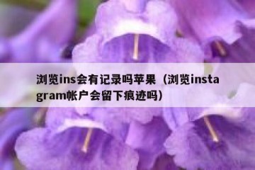 浏览ins会有记录吗苹果（浏览instagram帐户会留下痕迹吗）