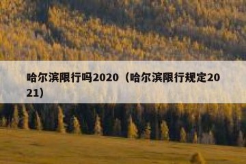 哈尔滨限行吗2020（哈尔滨限行规定2021）