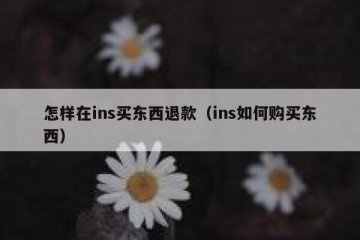 怎样在ins买东西退款（ins如何购买东西）
