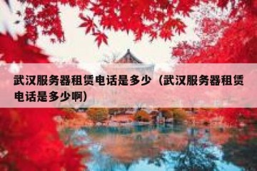 武汉服务器租赁电话是多少（武汉服务器租赁电话是多少啊）