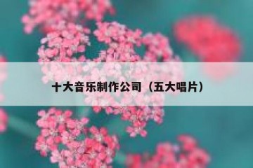 十大音乐制作公司（五大唱片）