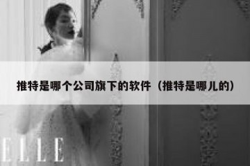 推特是哪个公司旗下的软件（推特是哪儿的）
