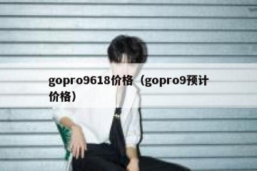 gopro9618价格（gopro9预计价格）