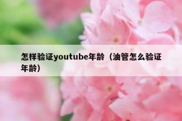 怎样验证youtube年龄（油管怎么验证年龄）