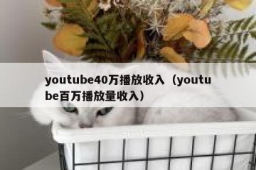 youtube40万播放收入（youtube百万播放量收入）