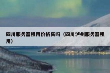 四川服务器租用价格高吗（四川泸州服务器租用）