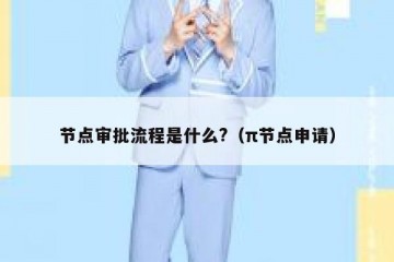 节点审批流程是什么?（π节点申请）