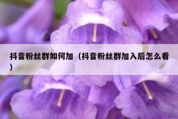 抖音粉丝群如何加（抖音粉丝群加入后怎么看）