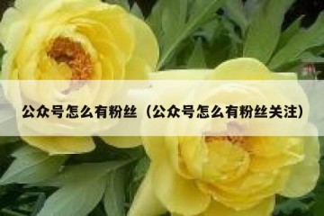 公众号怎么有粉丝（公众号怎么有粉丝关注）