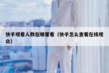 快手观看人数在哪里看（快手怎么查看在线观众）