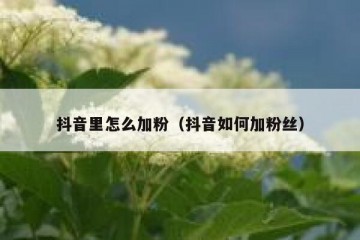抖音里怎么加粉（抖音如何加粉丝）