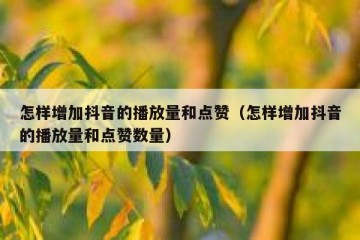 怎样增加抖音的播放量和点赞（怎样增加抖音的播放量和点赞数量）