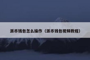 派币钱包怎么操作（派币钱包视频教程）
