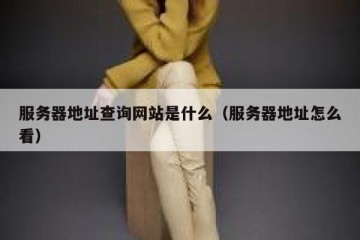 服务器地址查询网站是什么（服务器地址怎么看）