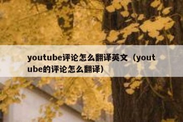 youtube评论怎么翻译英文（youtube的评论怎么翻译）