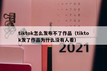 tiktok怎么发布不了作品（tiktok发了作品为什么没有人看）