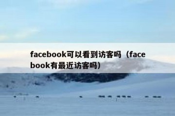 facebook可以看到访客吗（facebook有最近访客吗）