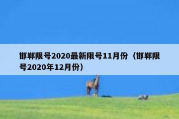 邯郸限号2020最新限号11月份（邯郸限号2020年12月份）