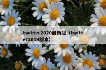 twitter2020最新版（twitter2019版本）