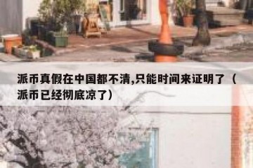 派币真假在中国都不清,只能时间来证明了（派币已经彻底凉了）