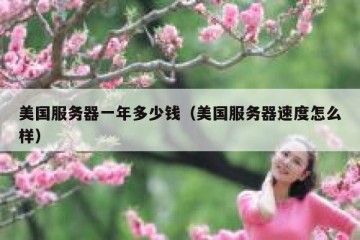 美国服务器一年多少钱（美国服务器速度怎么样）