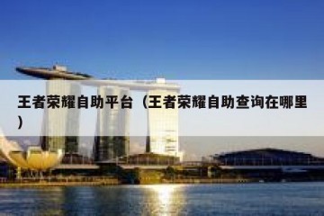 王者荣耀自助平台（王者荣耀自助查询在哪里）