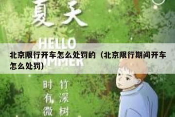 北京限行开车怎么处罚的（北京限行期间开车怎么处罚）