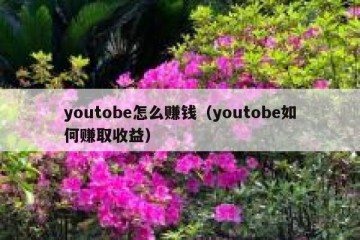youtobe怎么赚钱（youtobe如何赚取收益）
